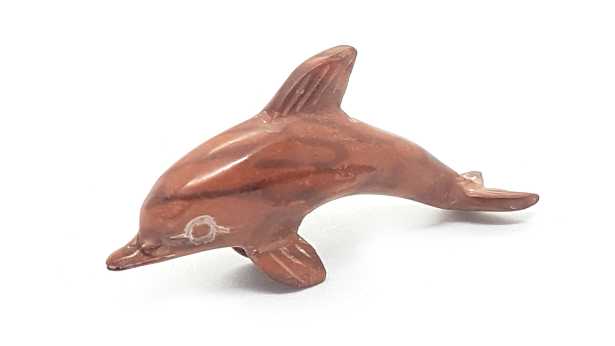 Kleiner Roter Delphin 2